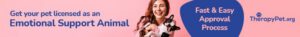 Ad Designs For A Therapy Pet Licensing Company