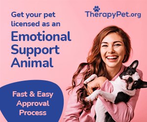 Ad Designs For A Therapy Pet Licensing Company