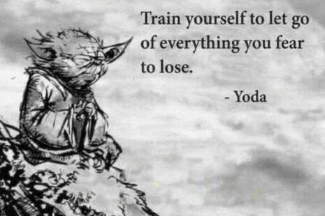 All Idiots And All Wise Men Were Once Fools
