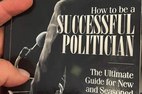 how to be a successful politician book
